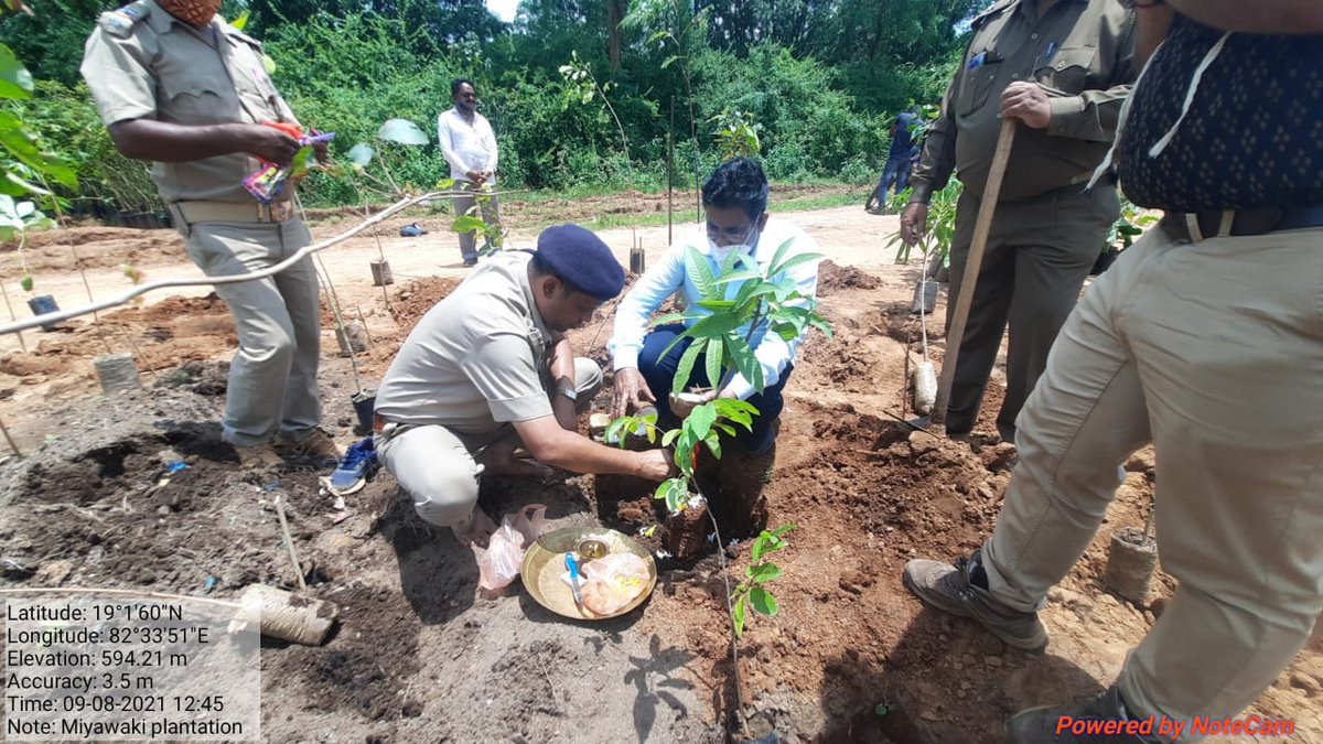 Planting of Dulaguda Miyawaki plantation in presence of respected DFO, both ACFs  with proper plantation design. 80 nos of different species will be planted over 1 ha area to ensure higher biodiversity. <a href="/pccfodisha/">PCCF & HoFF Odisha</a> <a href="/ForestDeptt/">Odisha Forest, Env. and Climate Change Department</a>