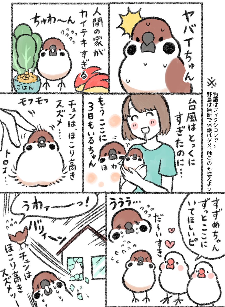 マンガ「ほこり高きスズメ」

#雀 #漫画がよめるハッシュタグ #文鳥 