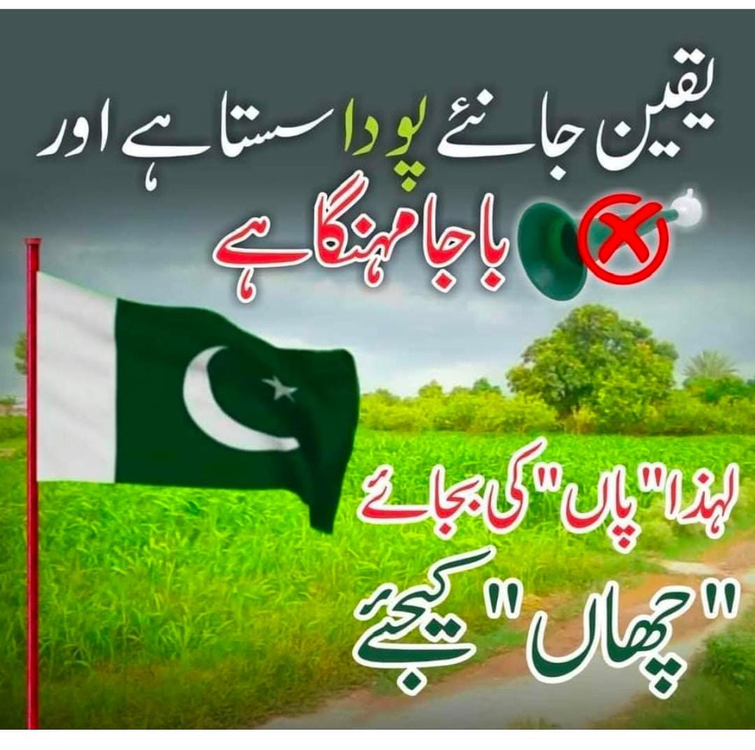 Tayyaba0911's tweet photo. Very Good Idea 😅.So Keep planting and not make a noise😊 https://t.co/oZoDyi6AWm