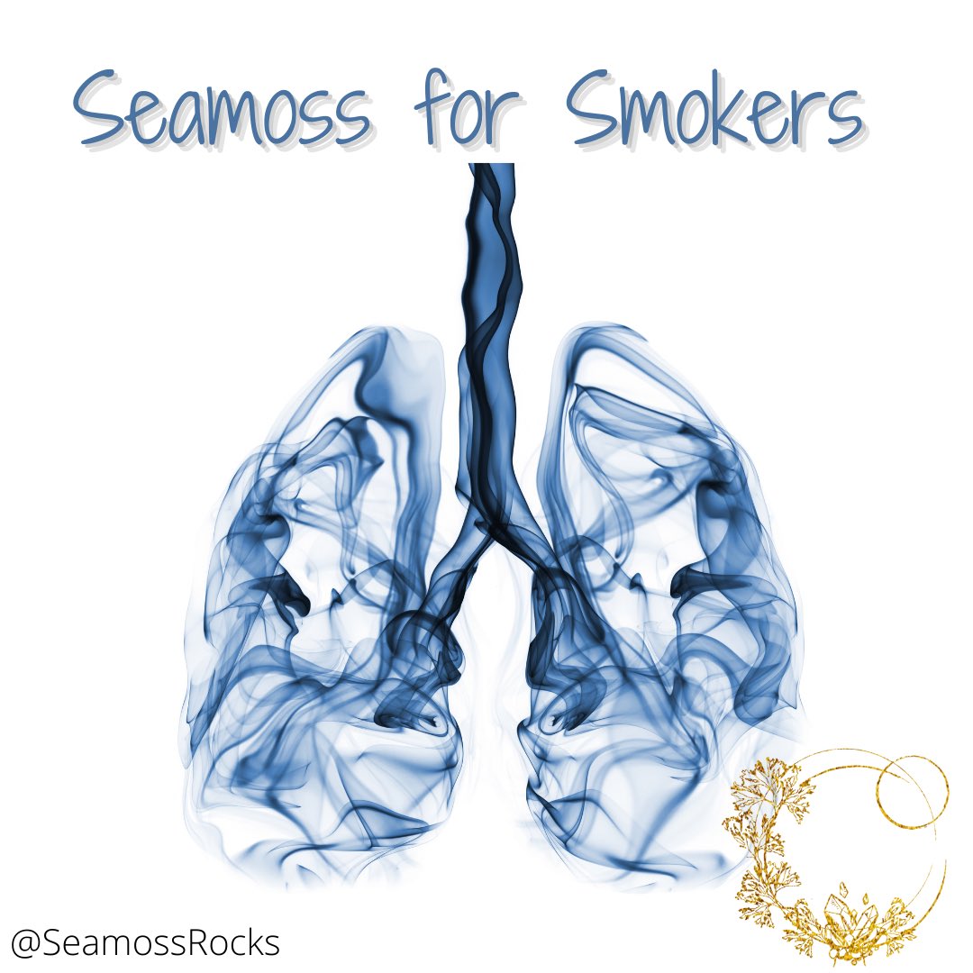 SeamossRocks tweet media