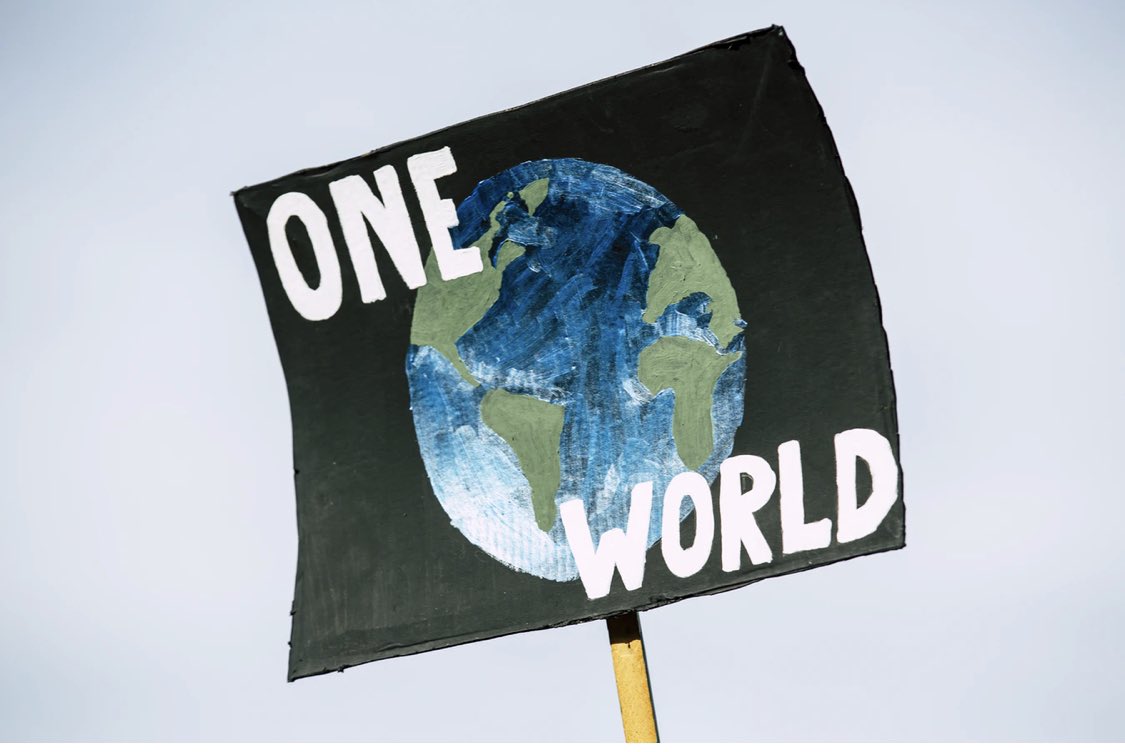 Megan Glatzel tweet media