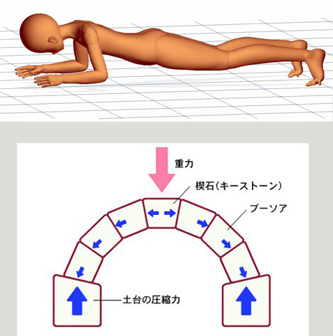 腹筋のtwitterイラスト検索結果