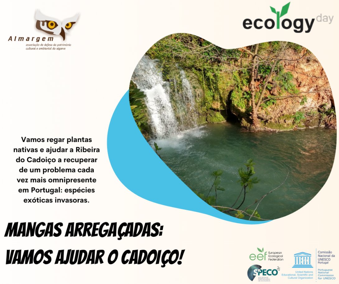 PortugalEcology's tweet photo. No dia 14 de Setembro (#ecologyday) junte-se à #Almargem na sua missão de proteger a Ribeira do Cadoiço. No Dia da Ecologia dedique-se à remoção de plantas invasoras e contribua para a recuperação da vegetação natural deste riacho.

#DiadaEcologia #EcologyDay2021 @Invasoraspt https://t.co/yom3ABIeiu