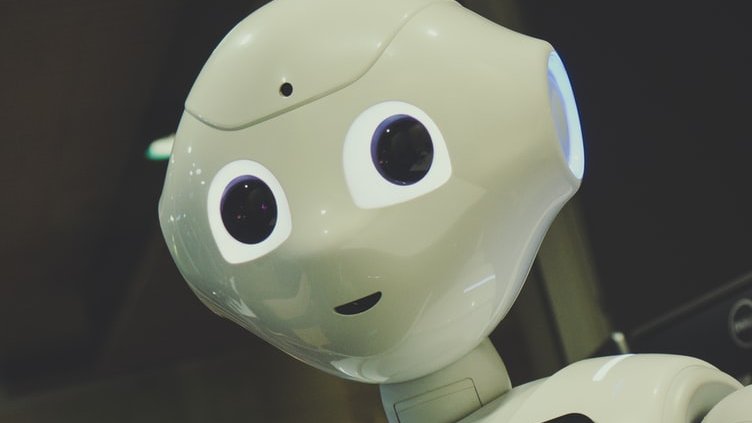 SchulpaedUP tweet media