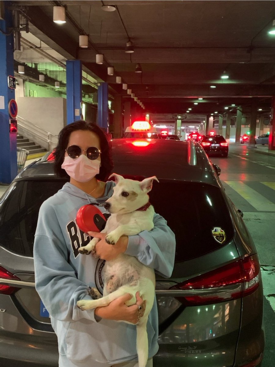 TaxipetsF's tweet photo. Encore un voyage en toute sérénité entre la gare Montpatnasse pour notre chère cliente ainsi que son meilleur ami.

Un plaisir partagé par tous nos confreres de taxis pets. https://t.co/wI2VGWfBZC