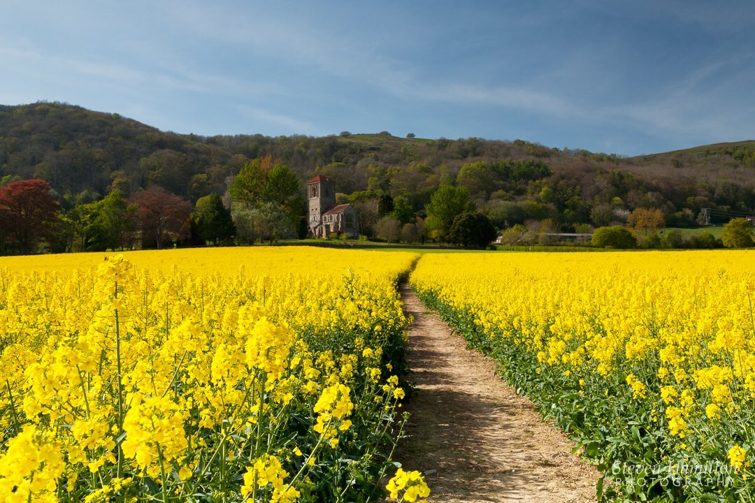 Little Malvern Priory in the Springtime. Tissues at the ready! 🤧

#worcestershireinphotographs 
<a href="/VisitWorcs/">Visit Worcestershire</a> <a href="/TheMalvernsTIC/">Visit The Malverns</a> <a href="/ThePhotoHour/">#ThePhotoHour</a> <a href="/StormHourMedia/">#StormHourMedia</a>