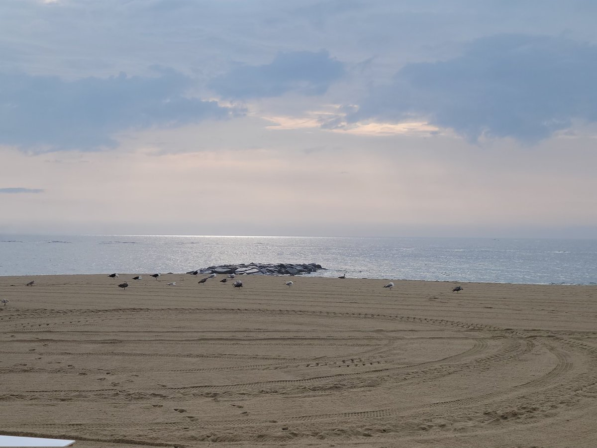 Morning run with a perfect view <a href="/APBoardwalk/">The Asbury Park Boardwalk</a>
