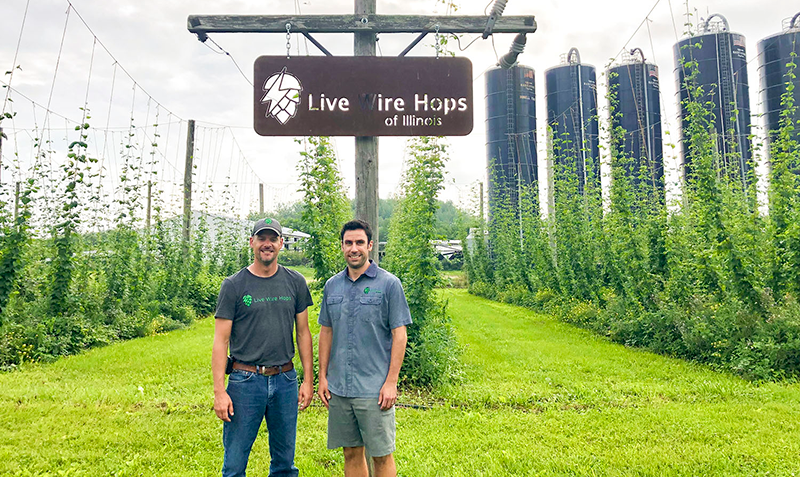 FarmWeekNow's tweet photo. What started as a chat over beers led cousins Brian Dallam and Anthony Welty to build a 1-acre #hopyard in Amboy, where they grow five varieties of #hops. Learn how Live Wire Hops is helping meet the demand of the craft brewing industry: https://t.co/yzDzVXkJ2h #FWN https://t.co/Y4ir5eN4Fr