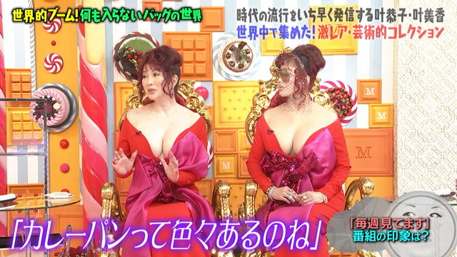 目の保養 叶姉妹の 何も入らないバッグ と 履けない靴 コレクション マツコの知らない世界 Togetter