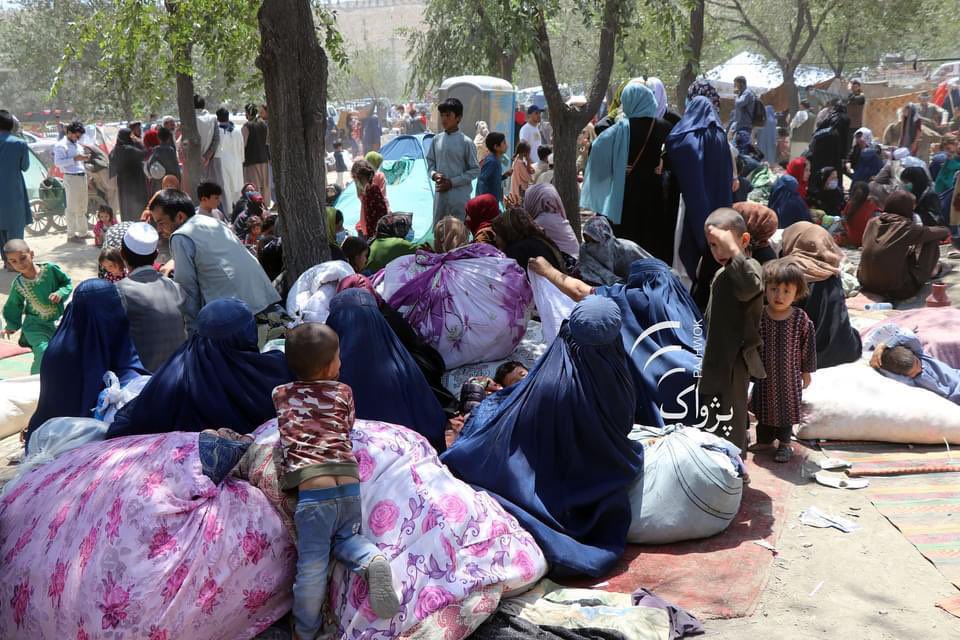ManizhaBakhtari's tweet photo. Millions of people have been internally displaced in recent months. The dreadful violence and the surge in fleeing the war are occurring during one of the biggest global health emergencies due to Covid-19 Pandemic. @RamizAlakbarov @AurvasiPatel @Refugees @UNHCRAfg https://t.co/JTBLD2yt1S