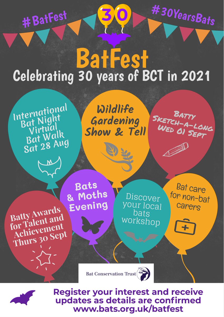 Just over 2 weeks to go for #InternationalBatNight &amp; the beginning of <a href="/_BCT_/">Bat Conservation Trust</a> #30YearsBats celebrations - #BatFest !! Join us for the launch of #BatFest on the 28th August with a virtual bat walk  bats.org.uk/our-work/confe… (thread)