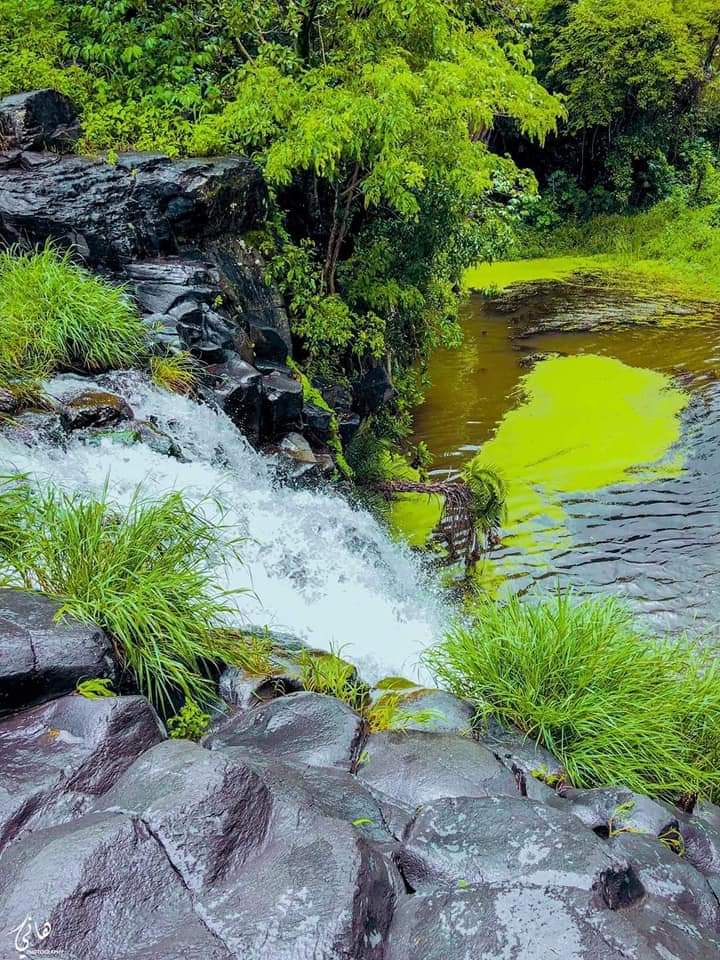 نرتتي ♥️♥️