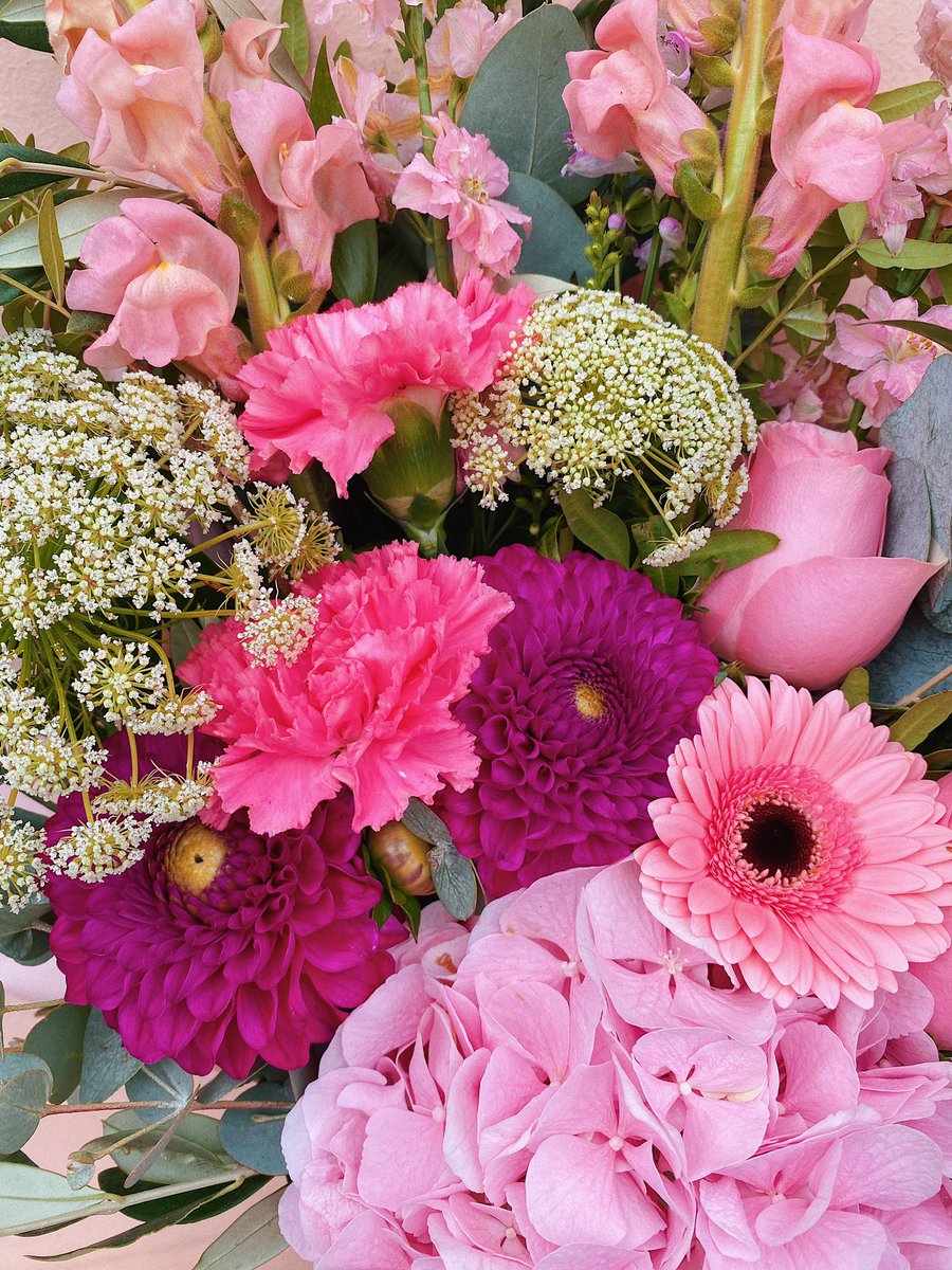 mudurbanflowers's tweet photo. a treat on delivery Wednesday 🍒🍭🍿 featuring dahlia, snapdragon, rose, larkspur, physostegia, carnation, germini and seasonal foliages! go luxe for double the stems plus hydrangea 😍👏🏻. click here https://t.co/MYUpcwN4eg to shop 🛒. #freshflowerdelivery #flowerdeliveryscotland https://t.co/9e8za3mld3