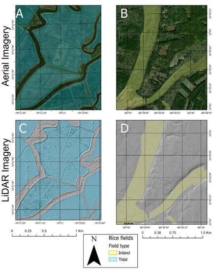 #Mapping Antebellum Rice #Fields as a Basis for Understanding #Human and #Ecological Consequences of the Era of Slavery
by R. Daniel Hanks et al.
More info:
mdpi.com/2073-445X/10/8…