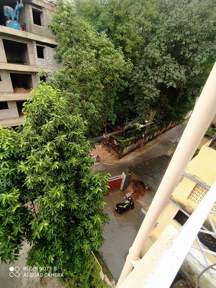 anobik's tweet photo. @md_jbvnl @ESE_Ranchi Hanging tree on live wires in South Office Para. The road is busy and the entire tree is hanging on the wires. Please take steps before any mishap happens. Have reported to Junior Engineer and Exe Engineer(Goutam Mukherjee) one month ago but no steps taken. https://t.co/DZxr1nWkRR