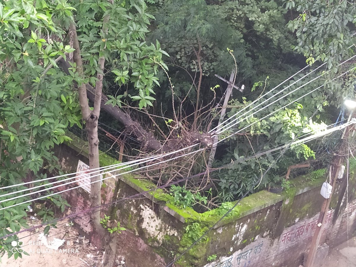 anobik's tweet photo. @md_jbvnl @ESE_Ranchi Hanging tree on live wires in South Office Para. The road is busy and the entire tree is hanging on the wires. Please take steps before any mishap happens. Have reported to Junior Engineer and Exe Engineer(Goutam Mukherjee) one month ago but no steps taken. https://t.co/DZxr1nWkRR