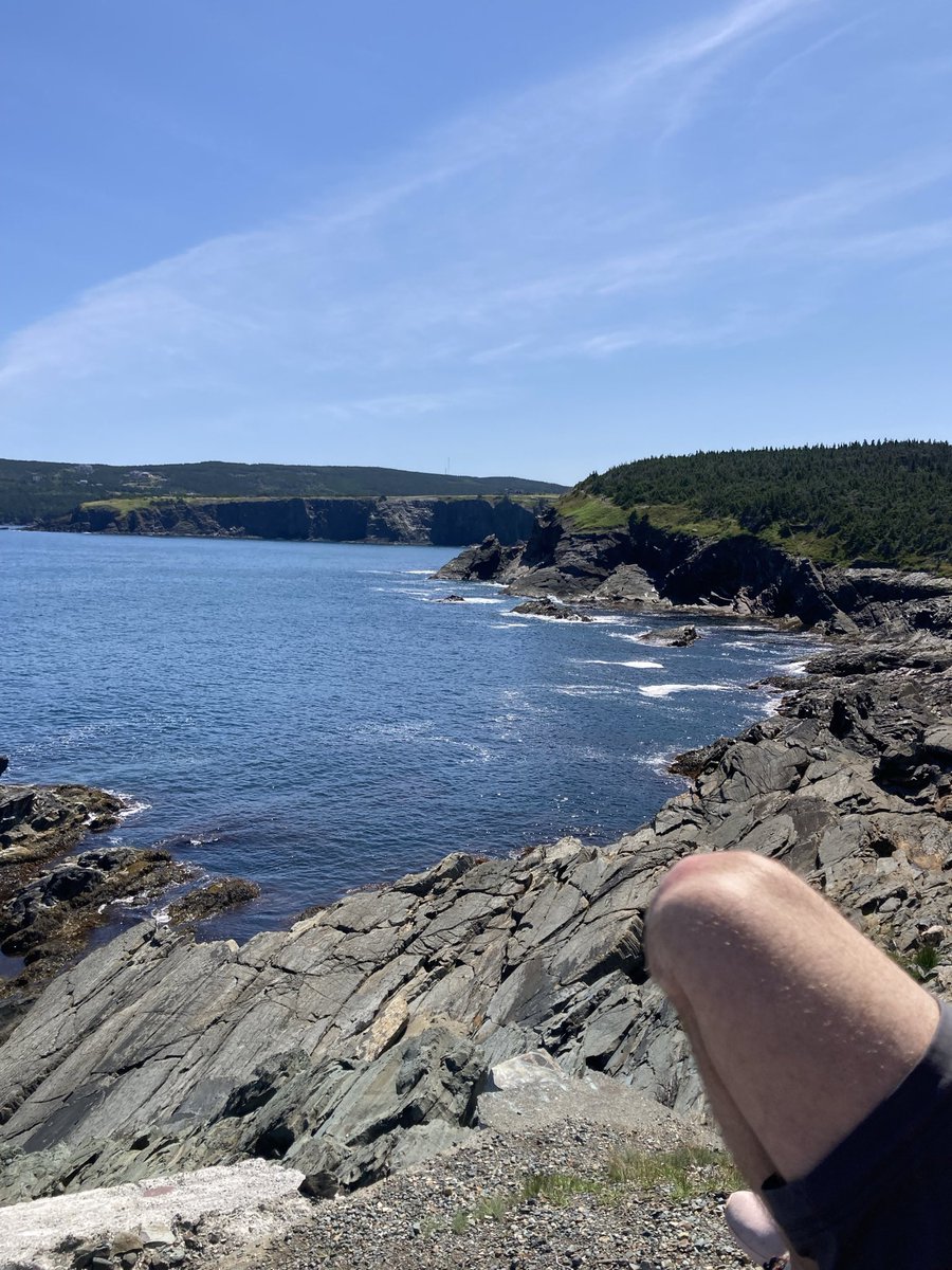 serenahaines's tweet photo. This is where I grew up. That far patch of green is how I first met with the world. I’ve been many places since, planted my families roots somewhere else, but this view is always a glory to inhale. #OnceAYear #OceanBaby #Wanderlust #Expansive #LbMcOc #MiddleCove #NL #OuterCove https://t.co/5jgJ3LVo3f