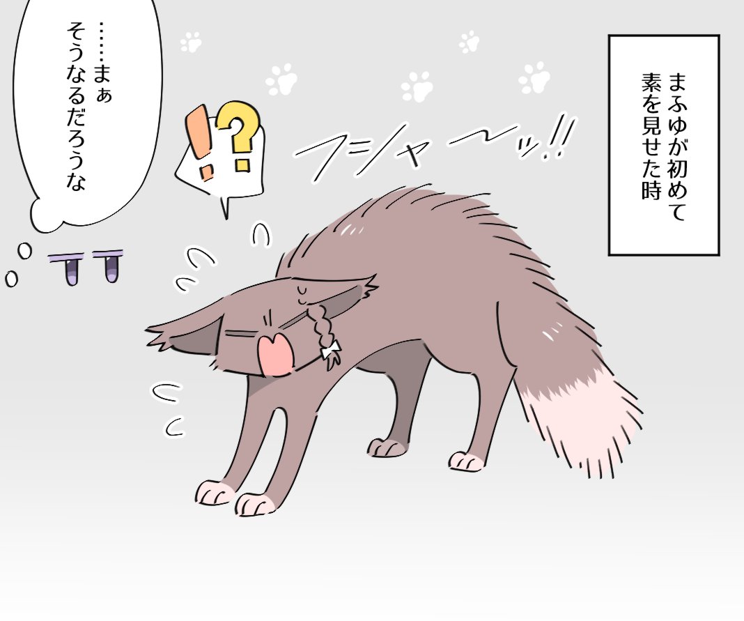 🐈「懐いてるとかじゃないから!」 