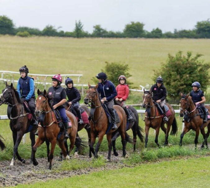 💥Conditional Jockey💥

We’re recruiting a 5lbs / 7lbs competent, enthusiastic &amp; highly motivated rider to join our Team. 

It’s our best start ever with 17 winners 24% strike rate &amp; there will be lots of opportunities for the right person. 

Email: keighleyracing@btinternet.com