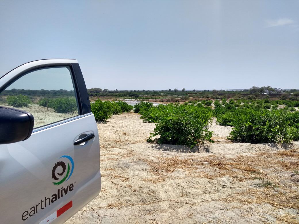 im_mining's tweet photo. .@GroupVimson & @Newlab's #ProspectMiningStudio announces the 12 companies in this year’s cohort: #pitcrewai, #safeai, @sbquantum, @MuonVision, @ElectraMet, @CemvitaFactory, #impulstec, #raddata, @earthalivect, @BroadbitB, @quidnetenergy & @talpasolutions https://t.co/EnJ8Kys7B4 https://t.co/77cok0xtJb