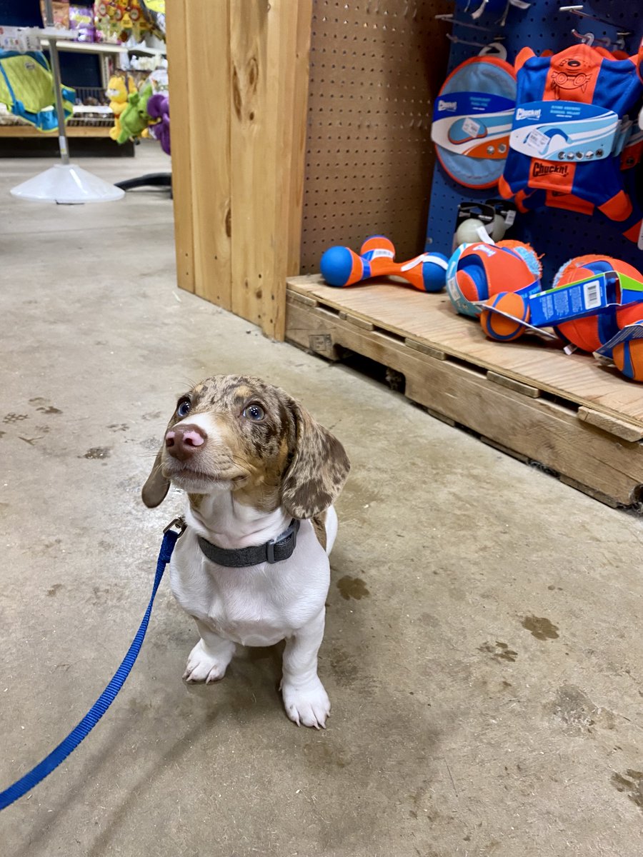 CountryMax Stores tweet media