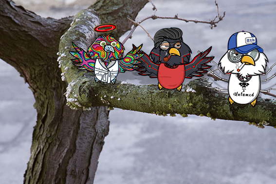 Ch6-5 As for me, I learned of a new species that appeared in #Botswana. I heard that they only befriend their likeness. Perhaps they can help to end the suffering on the continent? #untamedelephants #nft #MosekiMompati
<a href="/ElephantNFTS/">Nick Martell</a> #savetheelephants #untamedcompanion