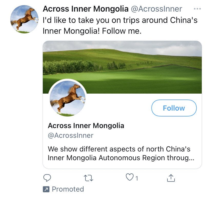 Not sure how everyone else’s algorithm is doing but a horse wants to take me on holiday in Mongolia