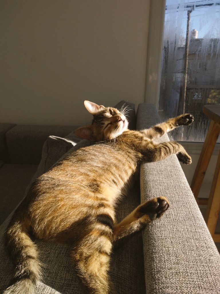 Milivilumbrales's tweet photo. tomando solcito ✨ https://t.co/d27qwFLpDx