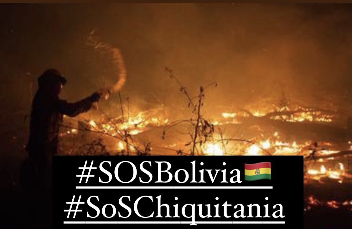 Nuestra fauna y animales mueren.
#SOSBolivia
#SosChiquitania