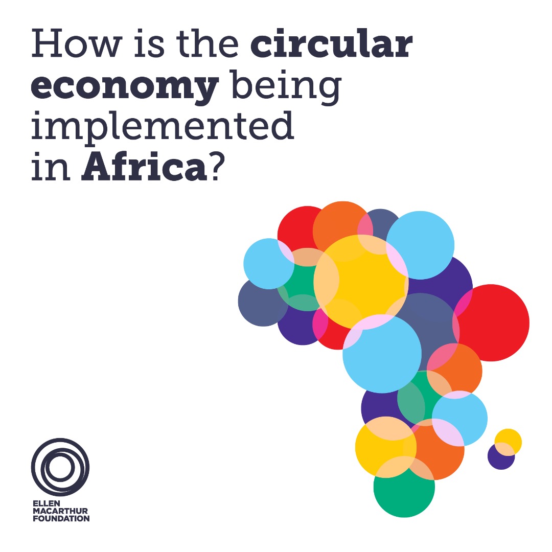 Rudo nondo tweet media