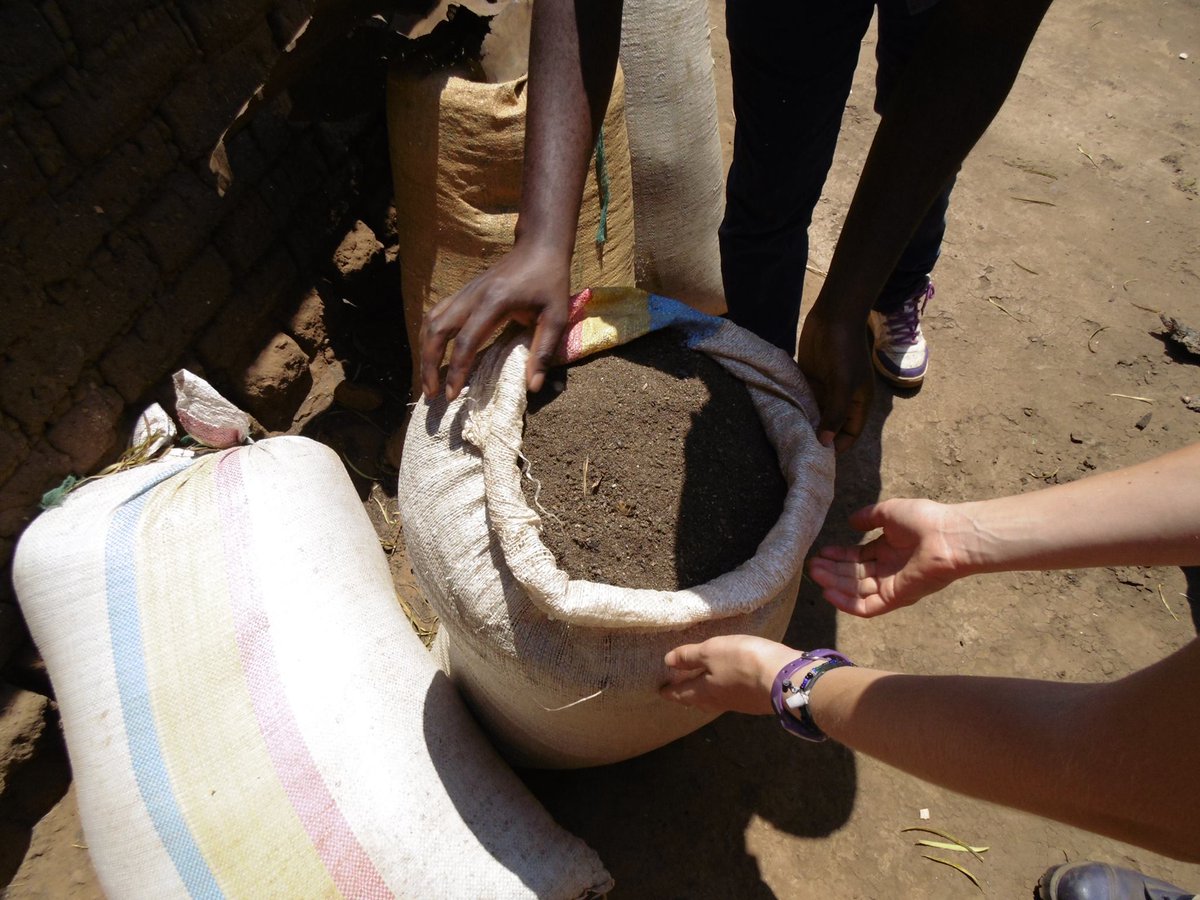 African Bat Conservation tweet media