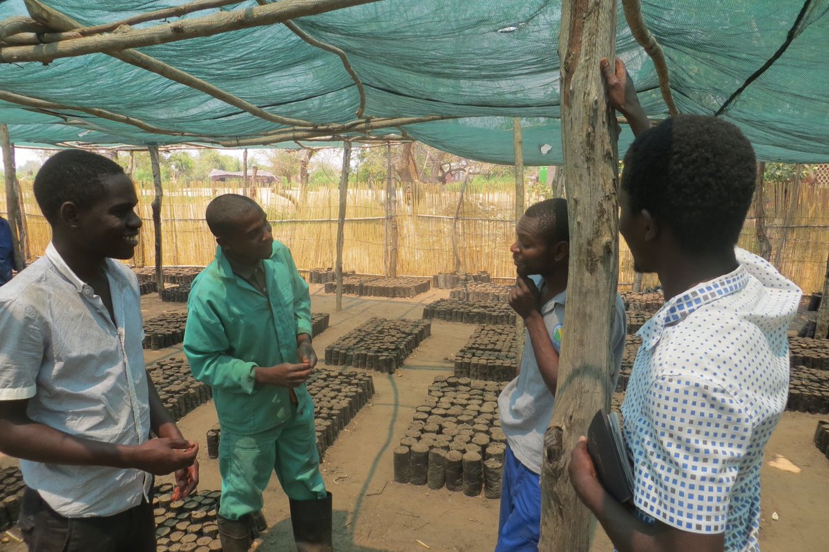 African Bat Conservation tweet media