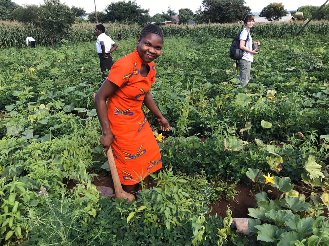 African Bat Conservation tweet media