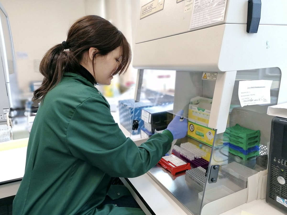 SUBioscience's tweet photo. From the front line of the #COVID pandemic to tackling climate change and protecting our natural habitats - our #BiomedicalScience #BiologicalScience graduates face our planet’s biggest challenges head on 💪

So could you - #WeSeeYourPotential 📞0800 590 830

#alevelresults2021 https://t.co/Xuu3UWGFSA