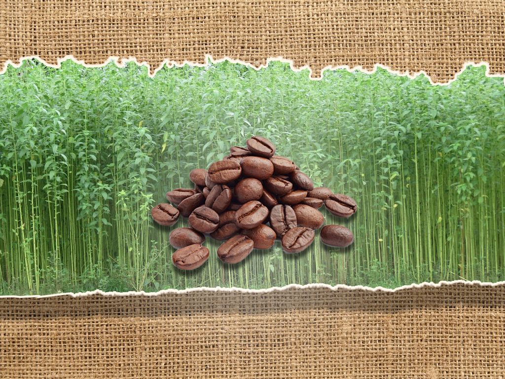 Zingerman's Coffee tweet media