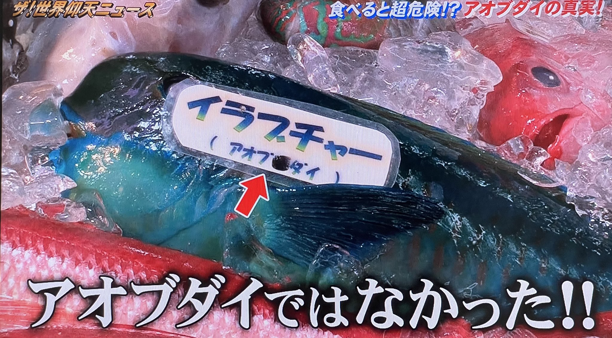 沖縄人のヒロヒロ 東京住み 沖縄のイラブチャーは本物のアオブダイでは無かった 魚市場の人達もみんな間違って認識してましたね 本物のアオブダイは死亡例もあるほど危険な魚で 実は沖縄ではアオブダイは食べられていないと言う 沖縄のイラブチャー
