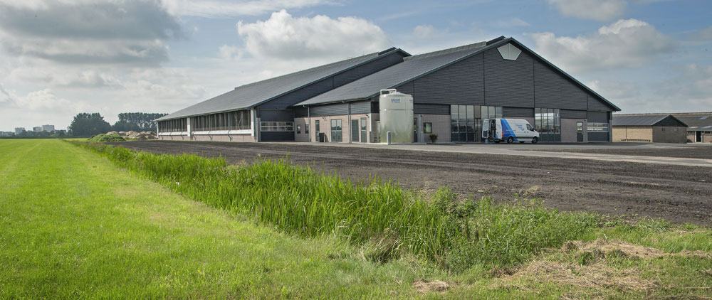Agrifirm's tweet photo. Sinds een paar weken lopen de koeien van Jan en Femke Prins in de nieuwe stal 🐄 Dat was best even wennen. Toch profiteren de ondernemers nu al van het arbeidsgemak dat in de 0+6+0-ligboxenstal centraal staat. #melkvee #melkveestal #koeien #arbeid #exlan https://t.co/7l5MptlOSt https://t.co/TZZUuApTpO