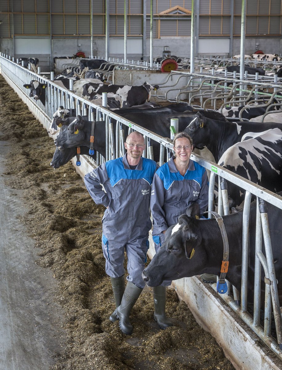 Agrifirm's tweet photo. Sinds een paar weken lopen de koeien van Jan en Femke Prins in de nieuwe stal 🐄 Dat was best even wennen. Toch profiteren de ondernemers nu al van het arbeidsgemak dat in de 0+6+0-ligboxenstal centraal staat. #melkvee #melkveestal #koeien #arbeid #exlan https://t.co/7l5MptlOSt https://t.co/TZZUuApTpO