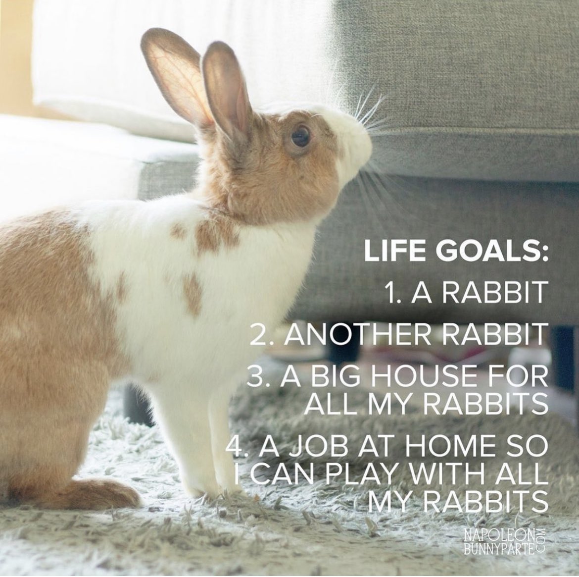 mrsbunnyw's tweet photo. Shamelessly stolen but it seems accurate. https://t.co/H365KgUxJY