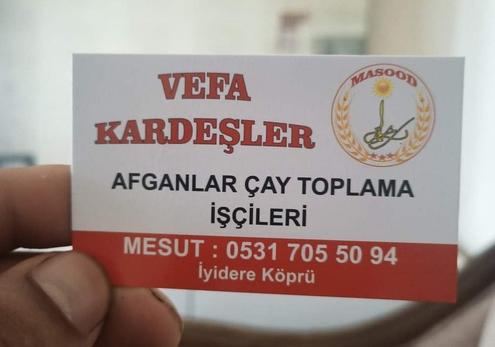 Karadeniz'de çay toplama işini almaya başlayıp kart bastıran Afganlar.