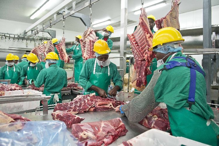 TheNamibian's tweet photo. The Meat Corporation of Namibia (Meatco) was last week recognised as the Namibian exporter of the year to the United States (US). https://t.co/vYiKLp4rdI https://t.co/MfW6ySD14e