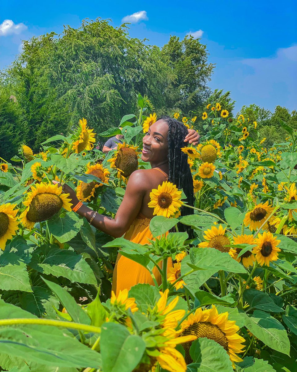 irisverdee's tweet photo. Me gettin back on Twitter like I wasn’t MIA for 2 yrs 🥰 #BlackGirlMagic #kc https://t.co/DkhSEuCEee