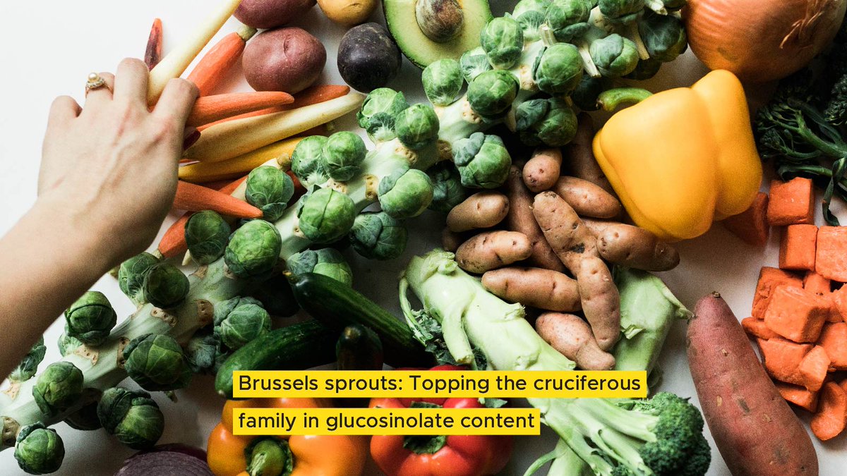 C-SAW Center for the Spread of Affordable Wellness tweet media