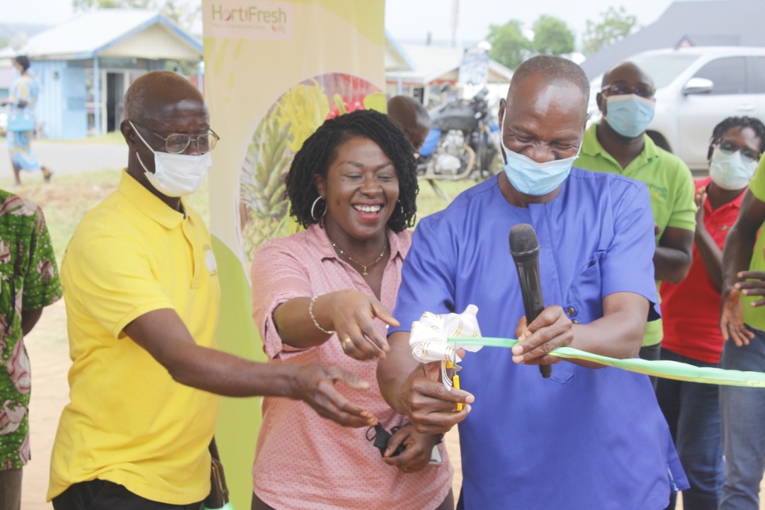 HortifreshWA's tweet photo. Opening ceremony of the maiden agri-inputs fair in Kintampo. Promoting quality inputs for a competitive #mango sector #newwaysofdoingbusiness #sectorcollaboration @NLinGhana @WUR_WCDI @Agricday @SNVGhana https://t.co/oZQS74fO2s
