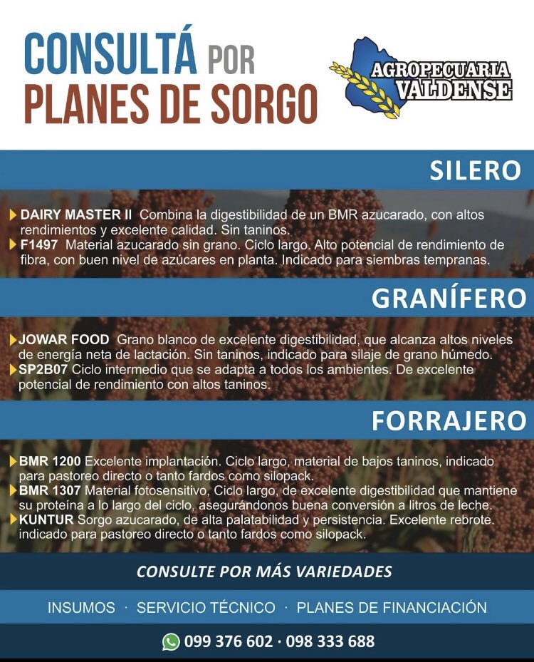 Agropecuaria Valdense tweet media