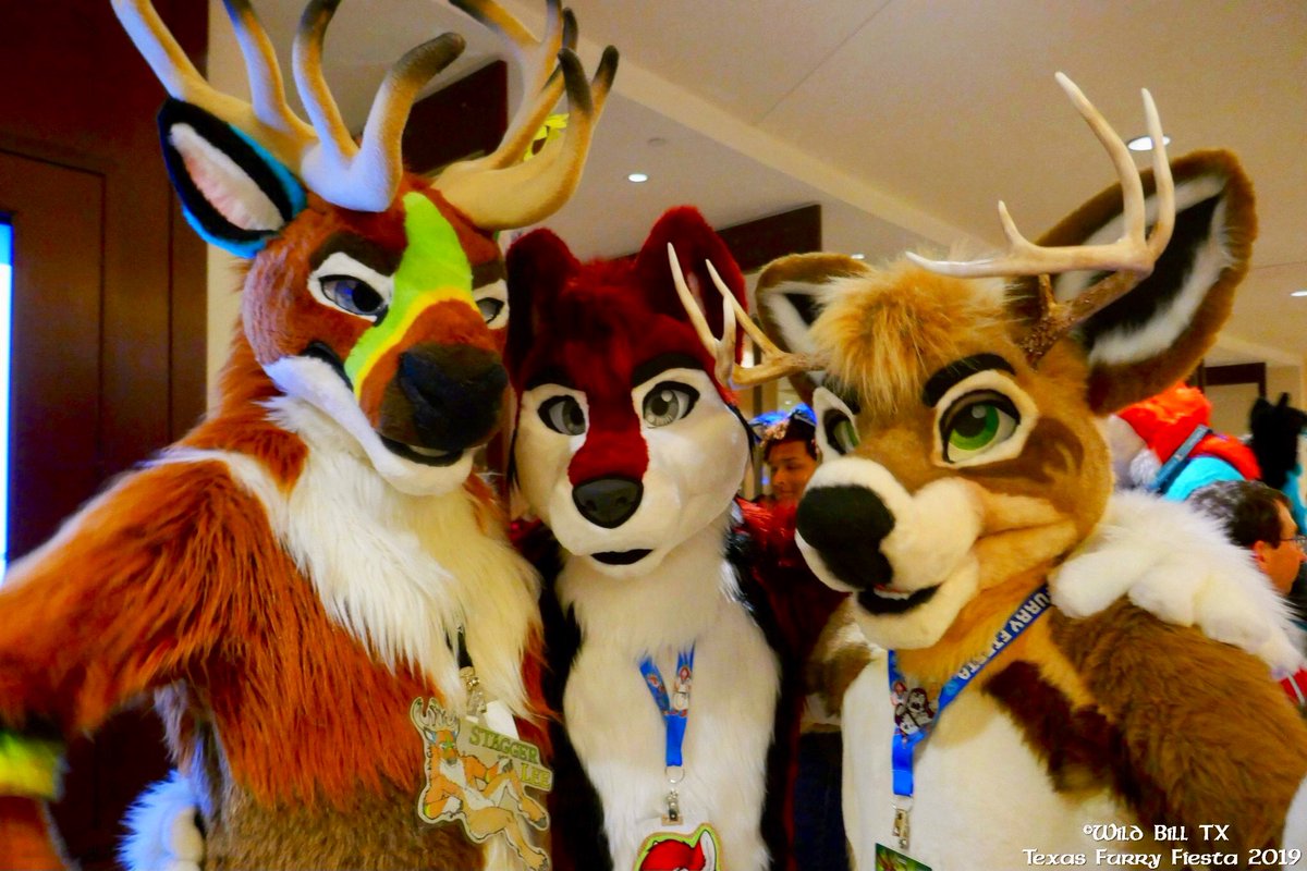 knoxx1616's tweet photo. I’m so excited for cons again!

📸: @wildbilltx https://t.co/jYZhcjYF4m