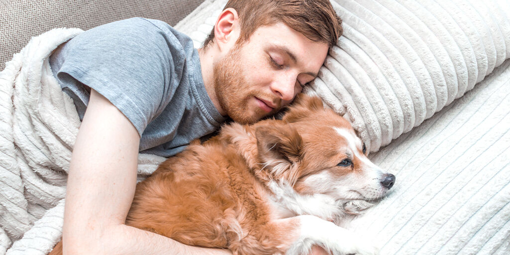 MancinisSleep's tweet photo. I love napping comfortably with my hooman! 
Our bond of comfort goes way back in time.

#dogsworld #dogs #dogslife #dogonbed #sleepworld #sleeptime #sleeping #bettersleep #mattress #comfortablemattress #mattresslove #mancinissleepworld https://t.co/G9jm0CaGPC