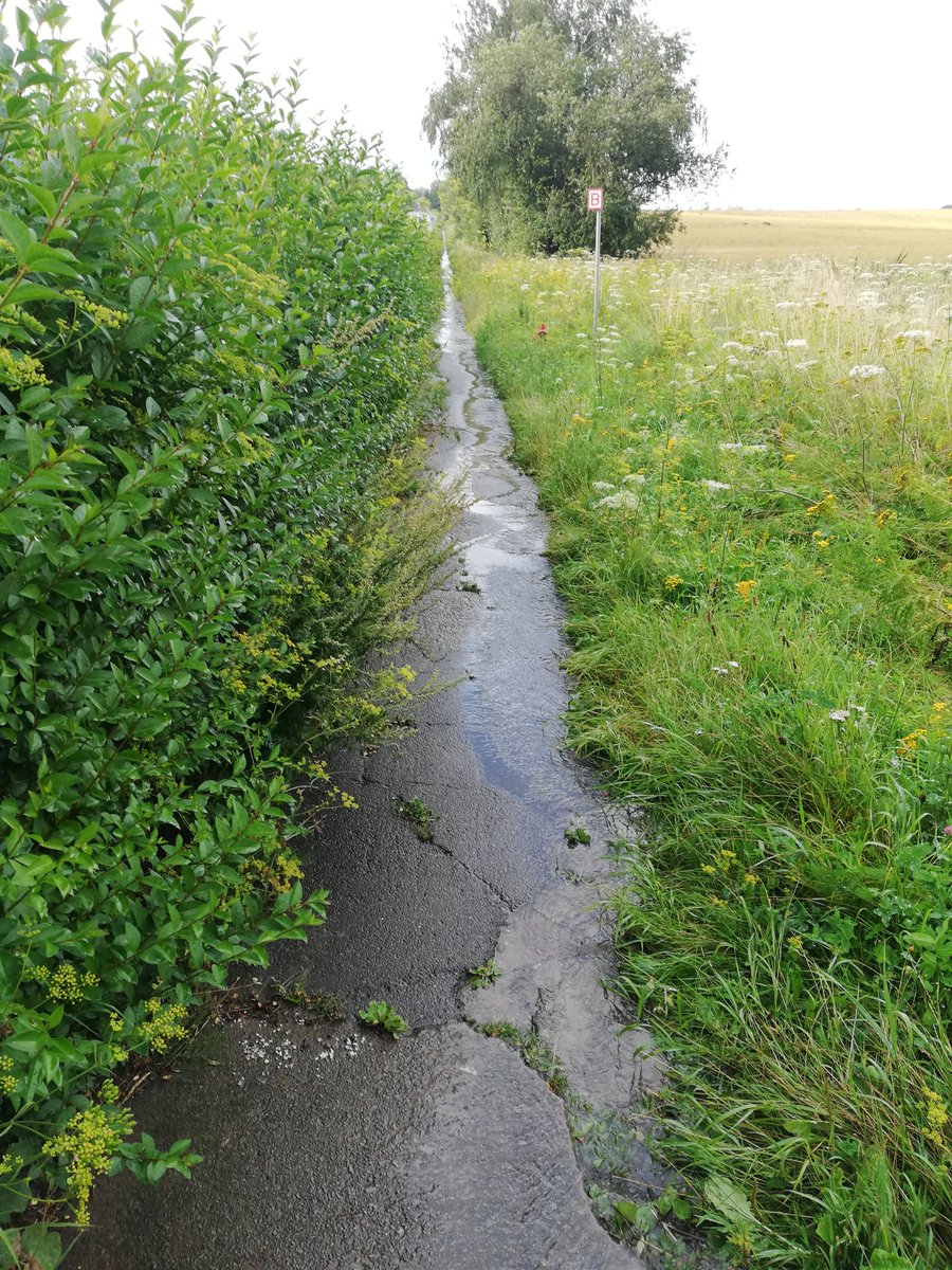 Quentin Jardon tweet media