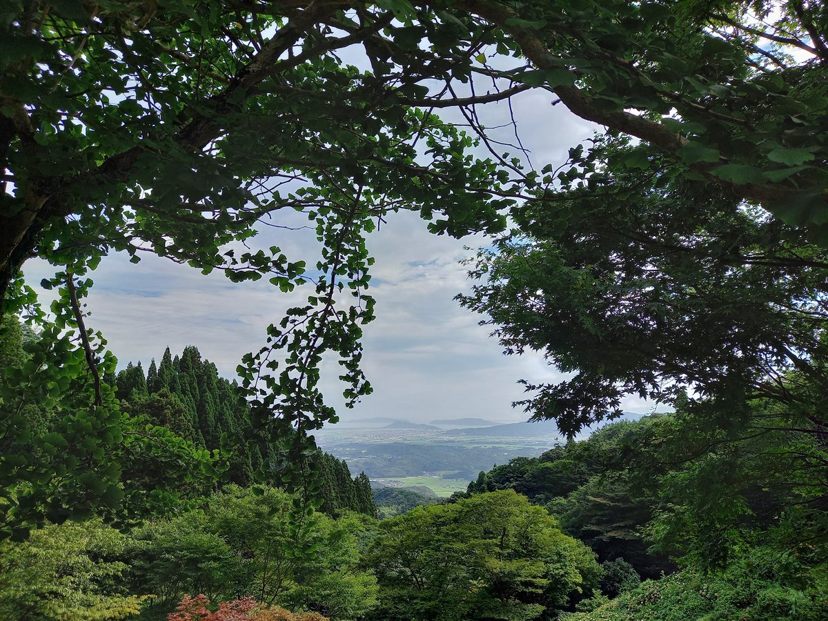 国道241号 最新道路交通情報（3ページ目） 今日現在・リアルタイム情報｜ナウティス