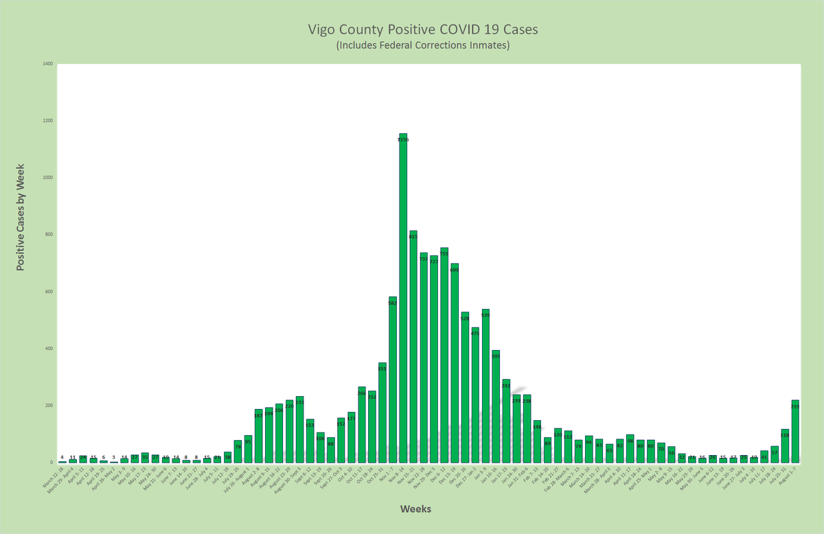 Weekly COVID-19 Graph